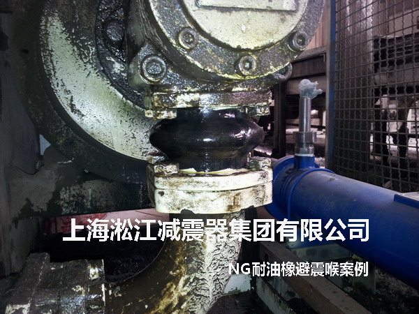 液壓泵NG耐油橡膠避震喉，NG耐油橡膠避震喉照片